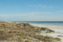 Colony Reef condos are in the center of Anastasia Island with St. Augustine Beach to the north and Crescent Beach to the south. 