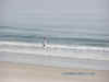 beach-fishing.jpg (32152 bytes)